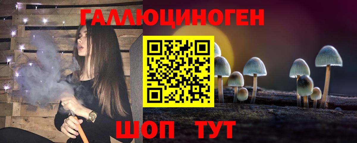 Черкесск  Галлюциногенные грибы GOLDEN TEACHER  Вход с VPN 