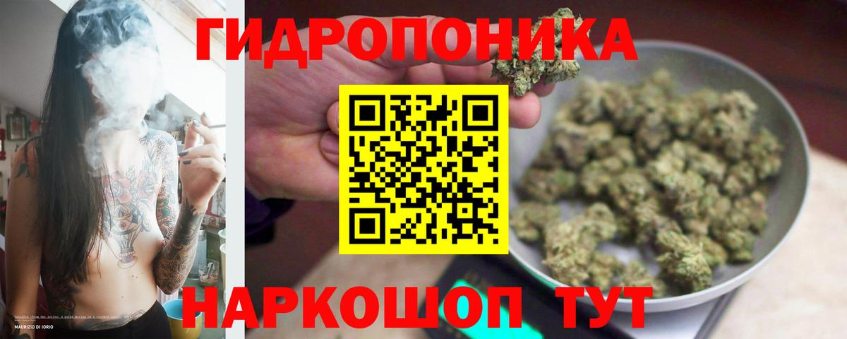 Конопля план  Шишки марихуана Bruce Banner  Вход с VPN  Бошки марихуана конопля  Черкесск 